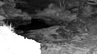 Still 3 from this detection