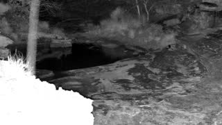 Still 2 from this detection