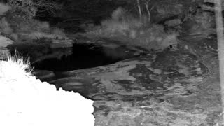 Still 3 from this detection