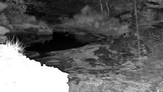 Still 1 from this detection