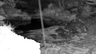 Still 1 from this detection