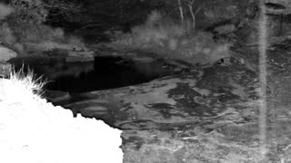 Still 3 from this detection
