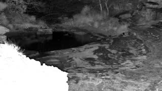 Still 2 from this detection