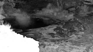 Still 3 from this detection