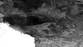 Still 2 from this detection