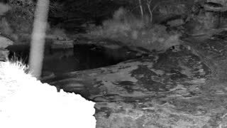 Still 3 from this detection