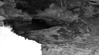 Still 1 from this detection