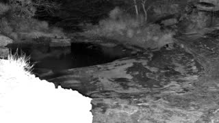 Still 3 from this detection