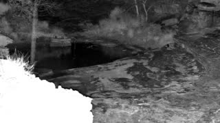 Still 2 from this detection