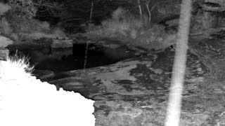 Still 1 from this detection