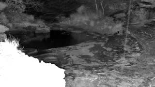 Still 1 from this detection