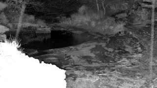Still 2 from this detection