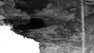 Still 3 from this detection
