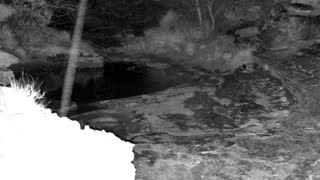 Still 1 from this detection