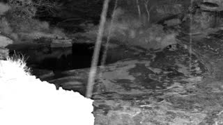 Still 3 from this detection