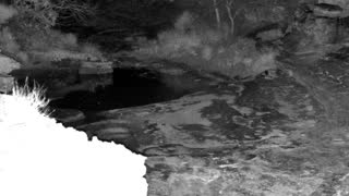 Still 1 from this detection