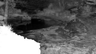 Still 1 from this detection