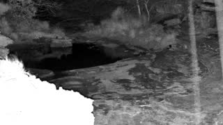 Still 3 from this detection
