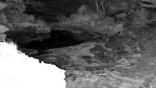 Still 2 from this detection
