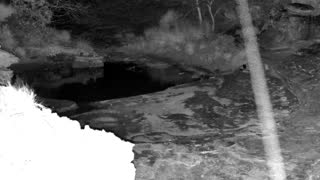 Still 2 from this detection
