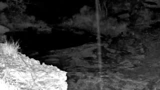 Still 1 from this detection