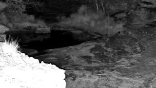 Still 2 from this detection