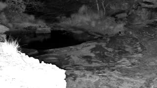 Still 3 from this detection