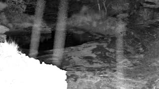Still 2 from this detection