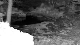 Still 3 from this detection