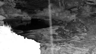 Still 1 from this detection