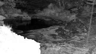Still 1 from this detection