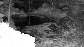 Still 1 from this detection