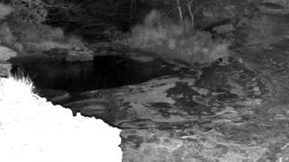 Still 3 from this detection