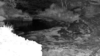 Still 1 from this detection