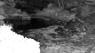 Still 3 from this detection