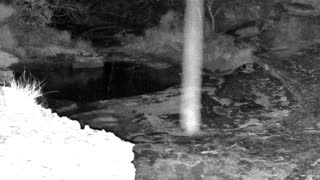 Still 2 from this detection
