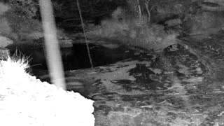 Still 1 from this detection