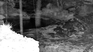 Still 1 from this detection