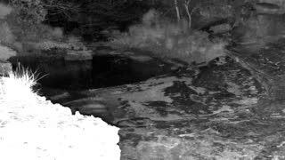 Still 2 from this detection