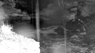 Still 1 from this detection