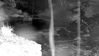Still 2 from this detection