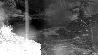 Still 1 from this detection