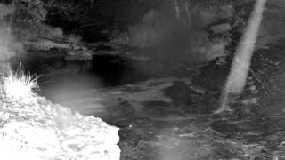 Still 1 from this detection