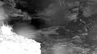 Still 1 from this detection