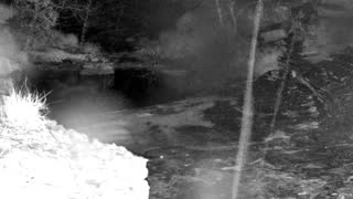 Still 2 from this detection