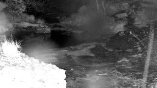 Still 3 from this detection