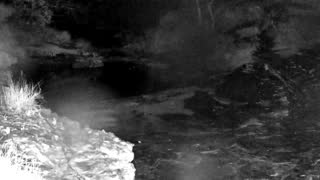 Still 1 from this detection