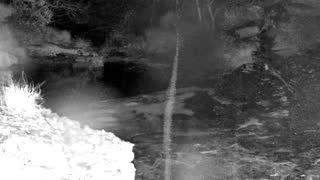 Still 2 from this detection