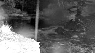 Still 2 from this detection