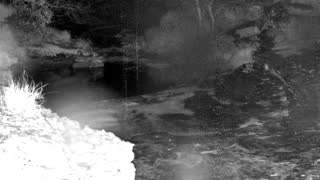 Still 2 from this detection